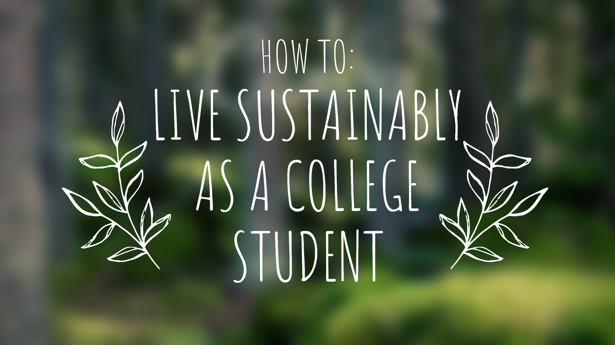 Sustainable Living 101: A Comprehensive Guide for College Students